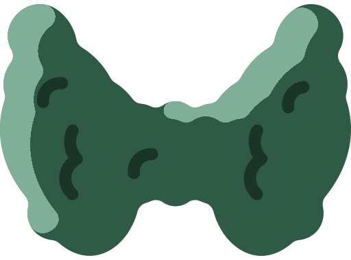 Diagrama ilustrativo de la glándula tiroides